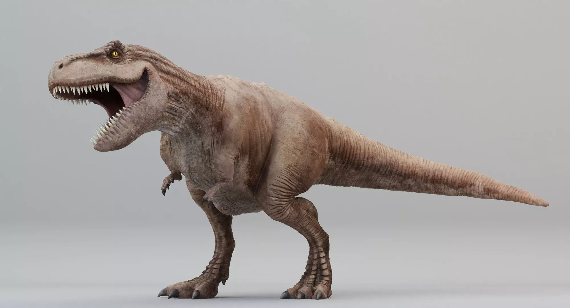 Animated Tyrannosaurus Rex Low-poly 3D model_0