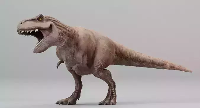 Animated Tyrannosaurus Rex Low-poly 3D model