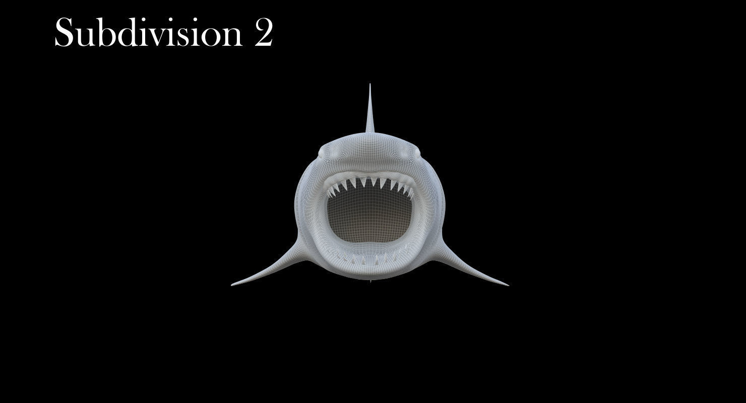 3D Animated Great White Shark  Low-poly 3D model_21