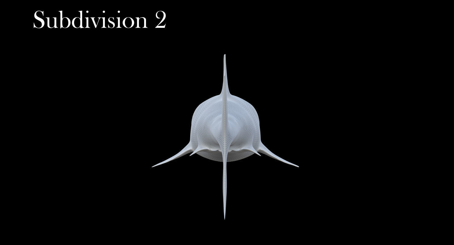 3D Animated Great White Shark  Low-poly 3D model_18