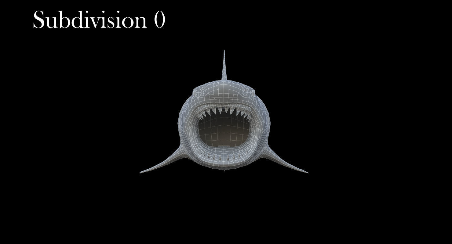 3D Animated Great White Shark  Low-poly 3D model_14