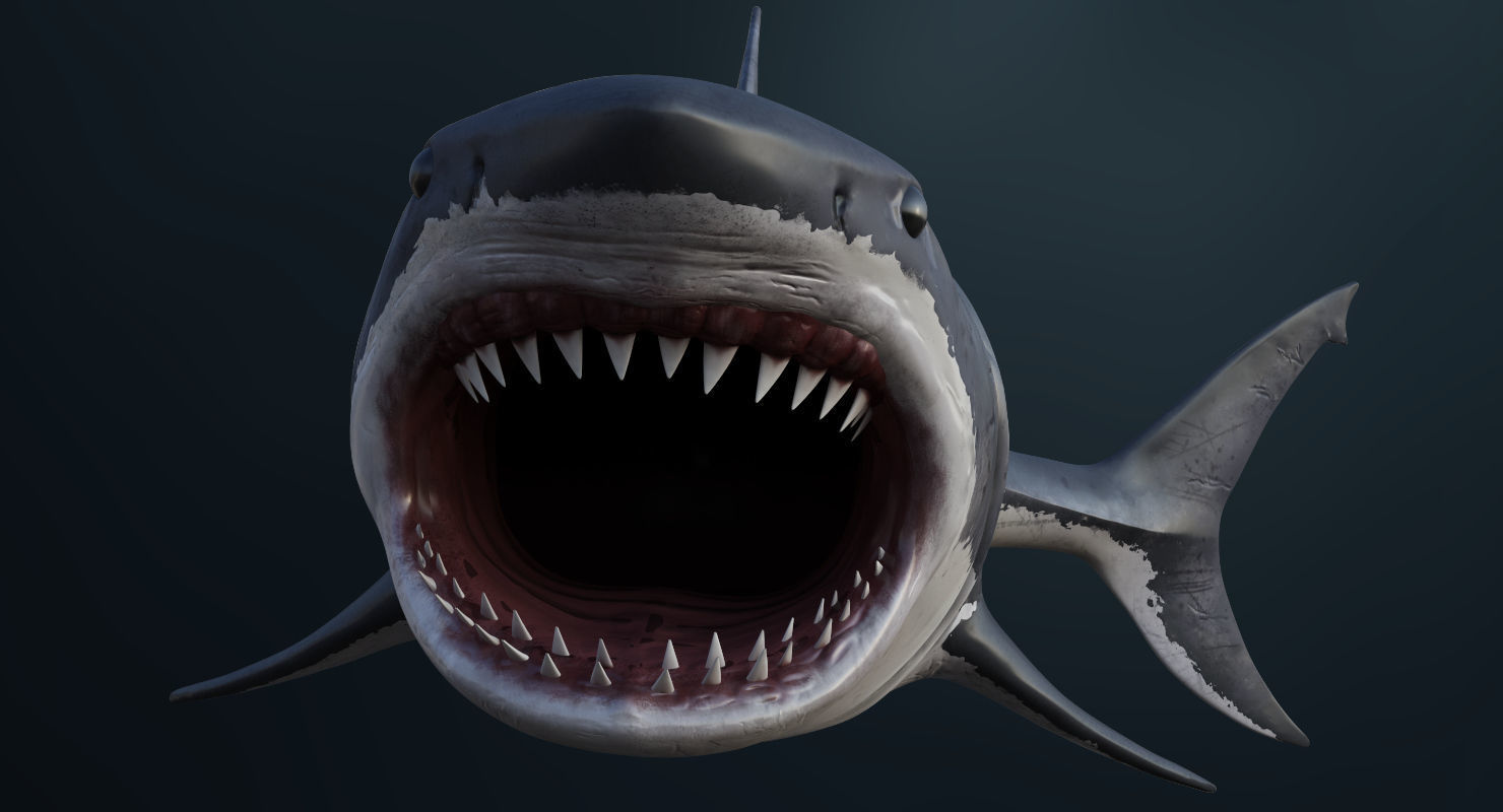 3D Animated Great White Shark  Low-poly 3D model_4
