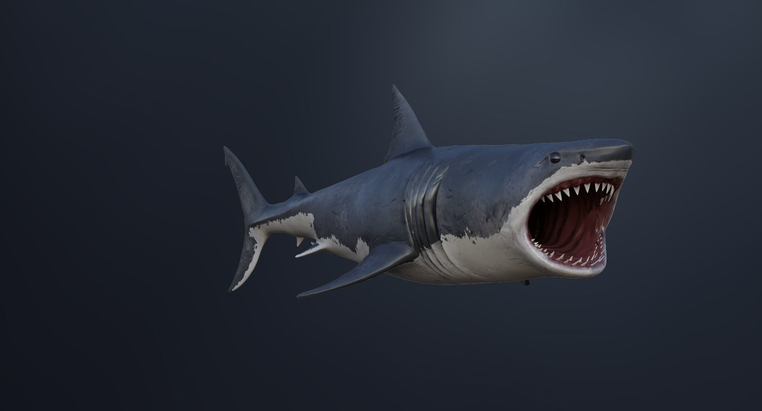 3D Animated Great White Shark  Low-poly 3D model_11