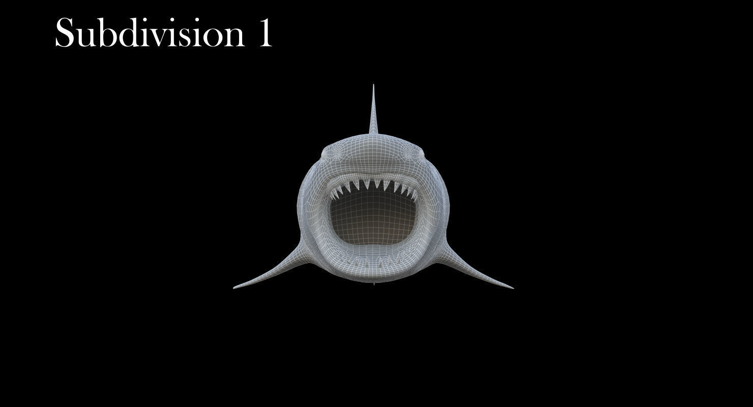 3D Animated Great White Shark  Low-poly 3D model_17