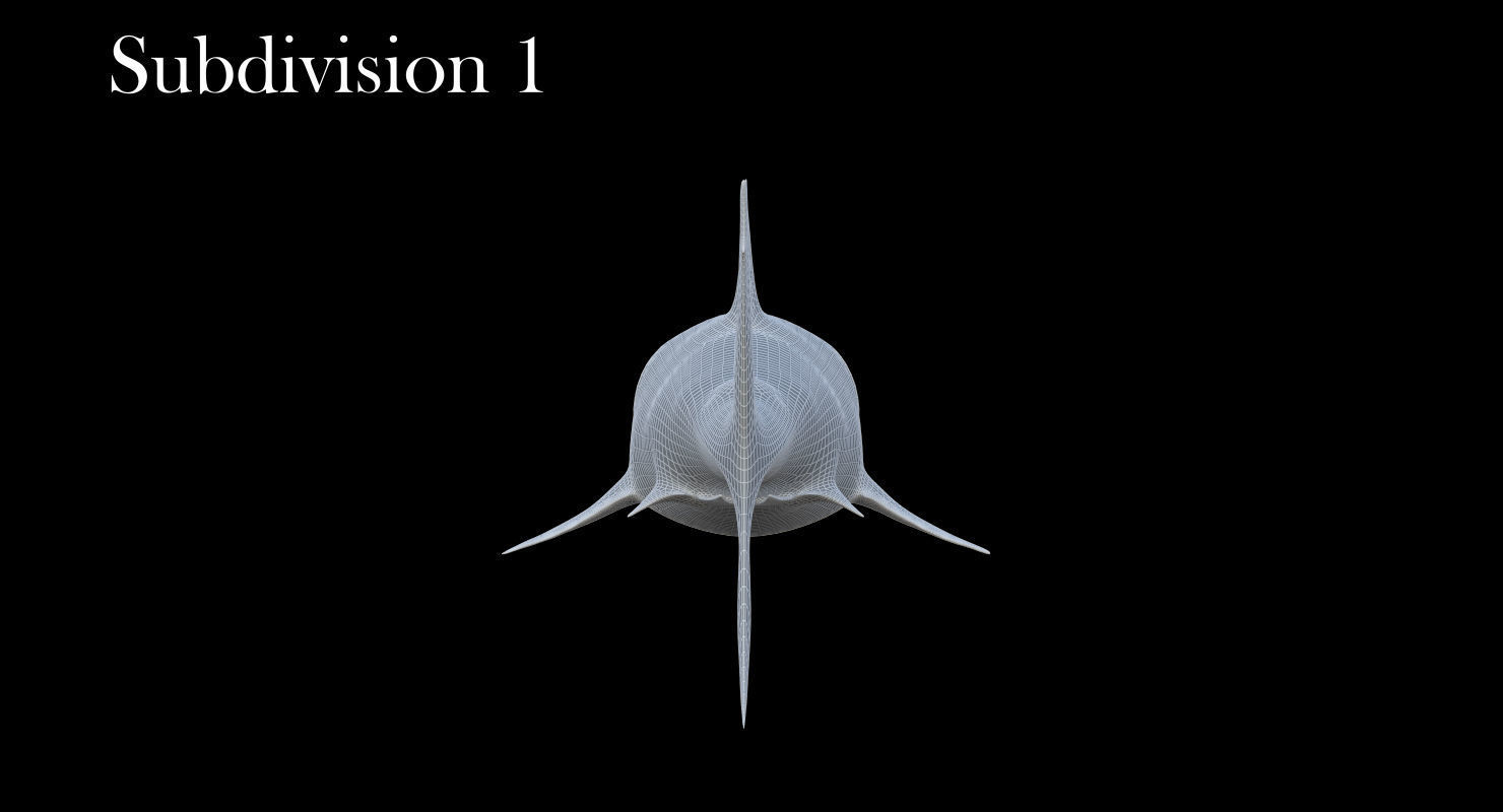 3D model Rigged Great White Shark Low-poly 3D model_21