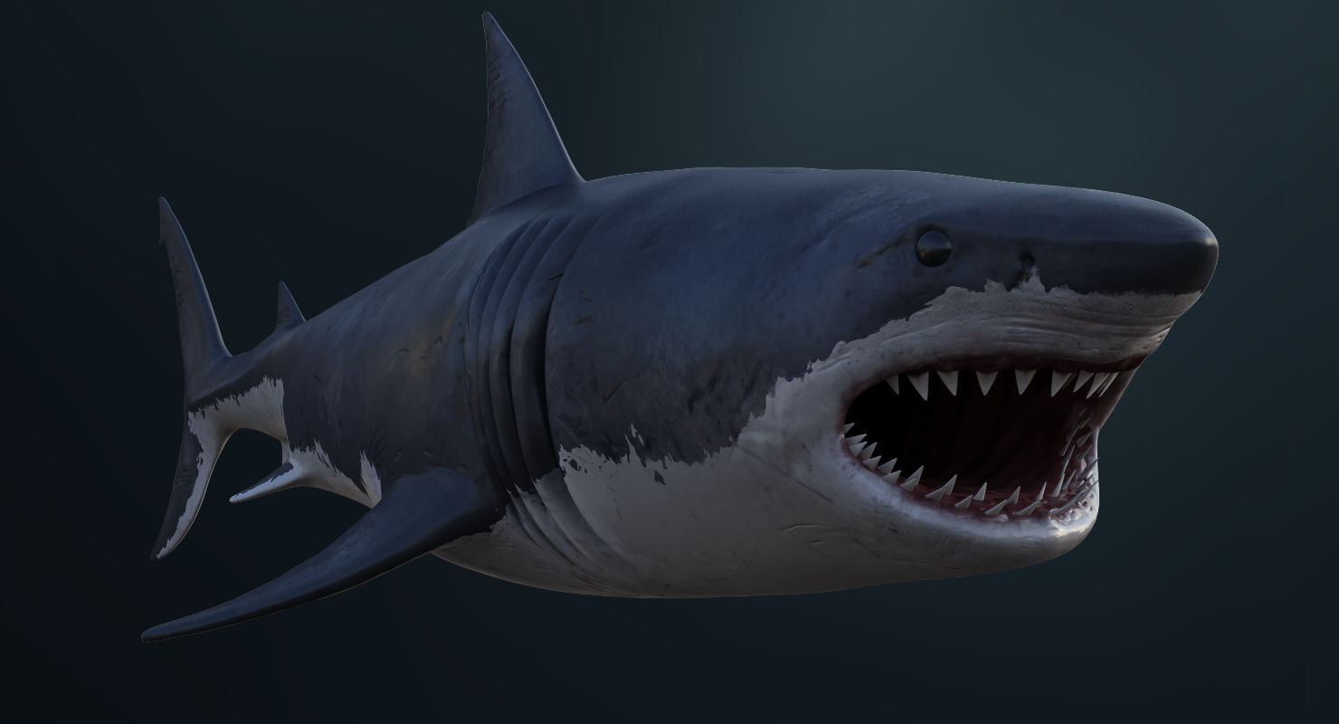 3D model Rigged Great White Shark Low-poly 3D model_10