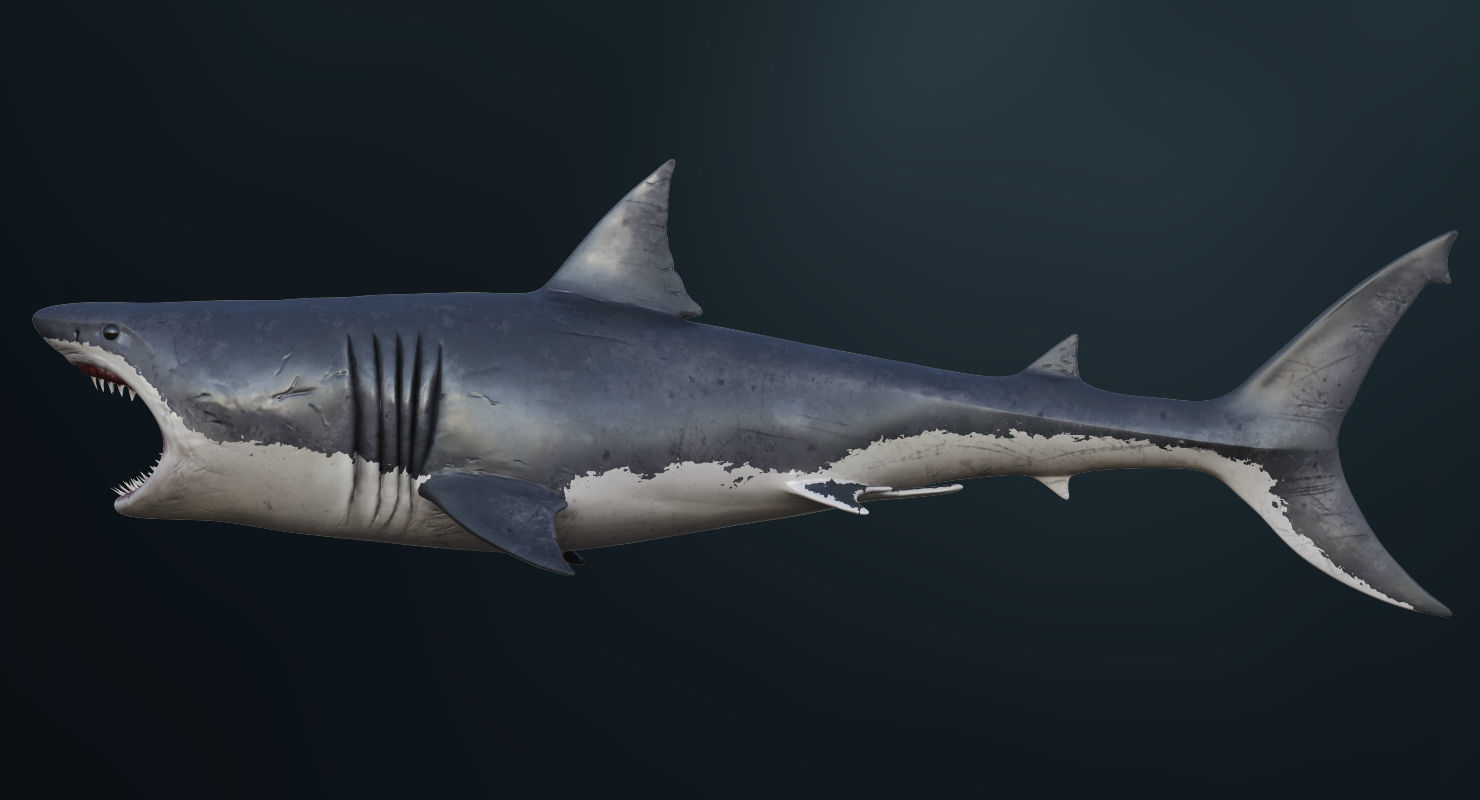 3D model Rigged Great White Shark Low-poly 3D model_2