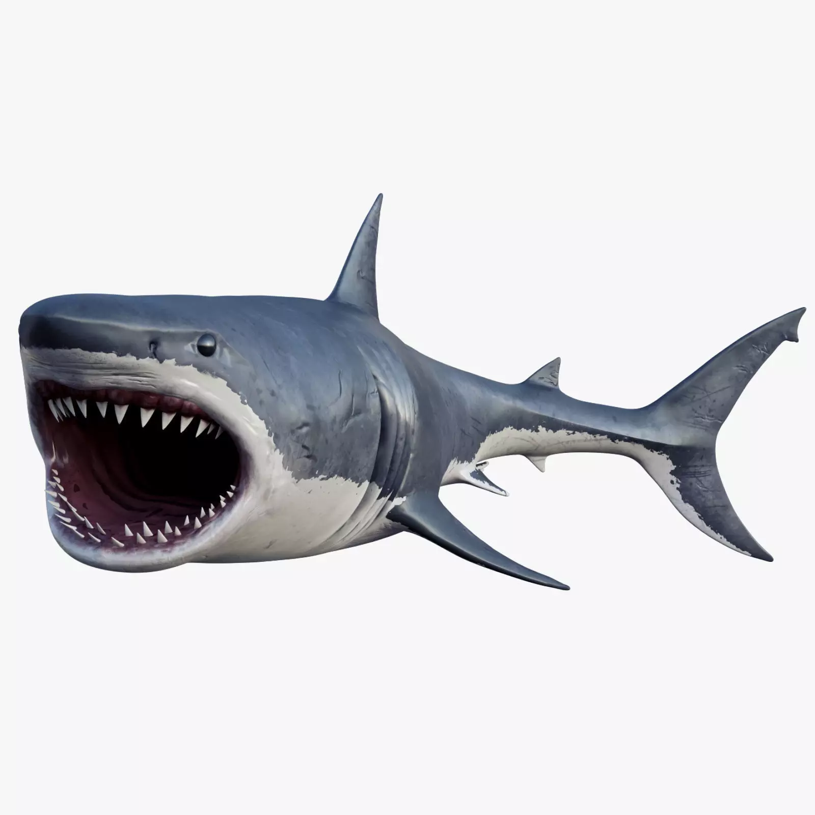 3D model Rigged Great White Shark Low-poly 3D model_0