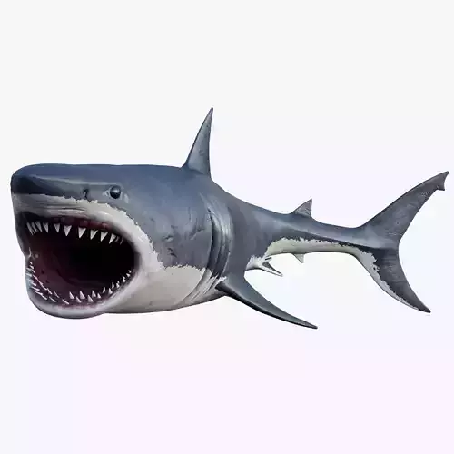 3D model Rigged Great White Shark Low-poly 3D model