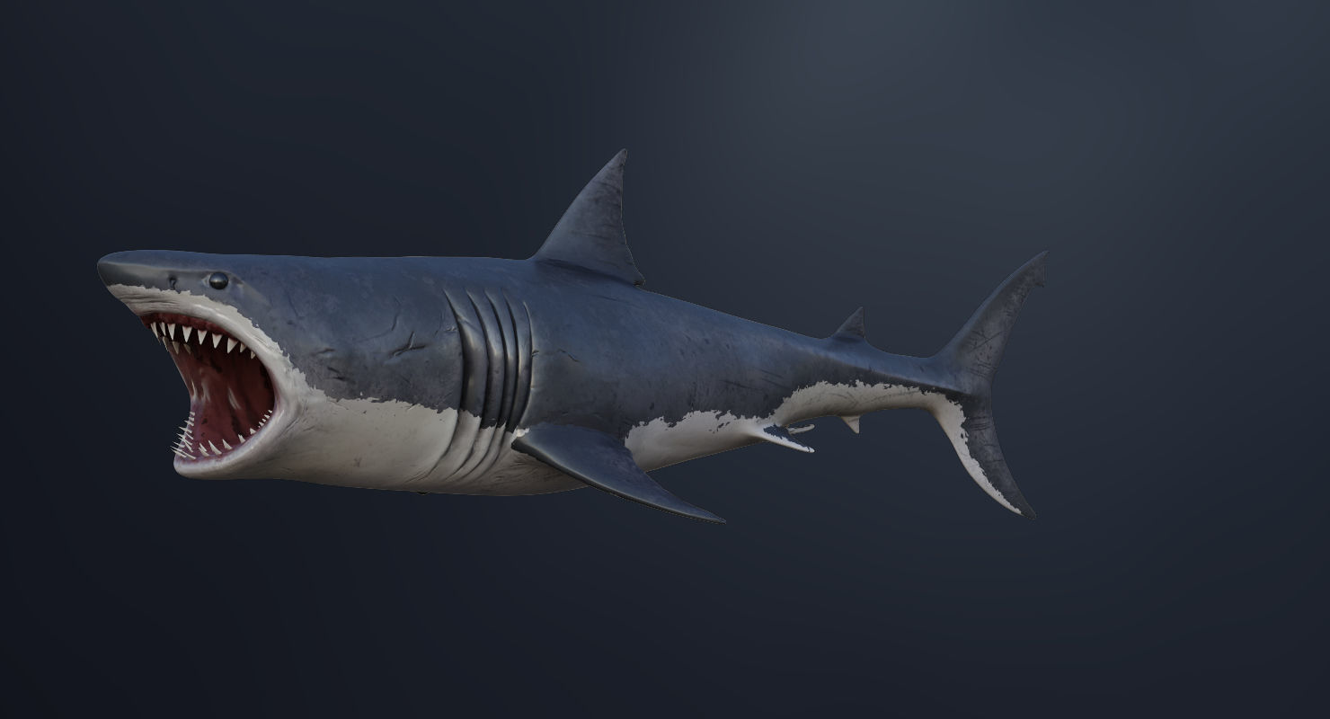 3D model Rigged Great White Shark Low-poly 3D model_12