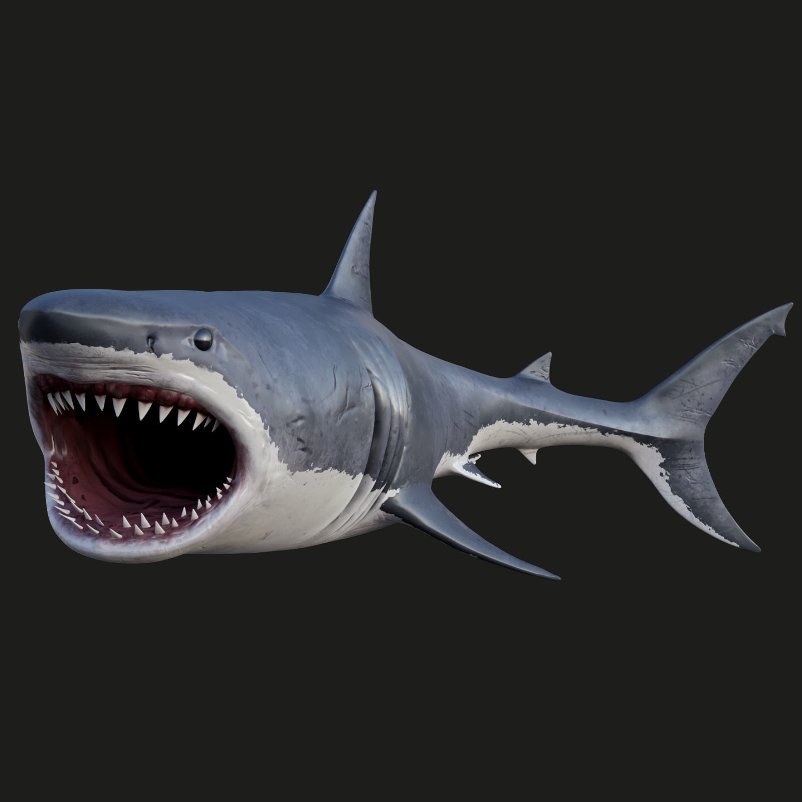 3D model Rigged Great White Shark Low-poly 3D model_4