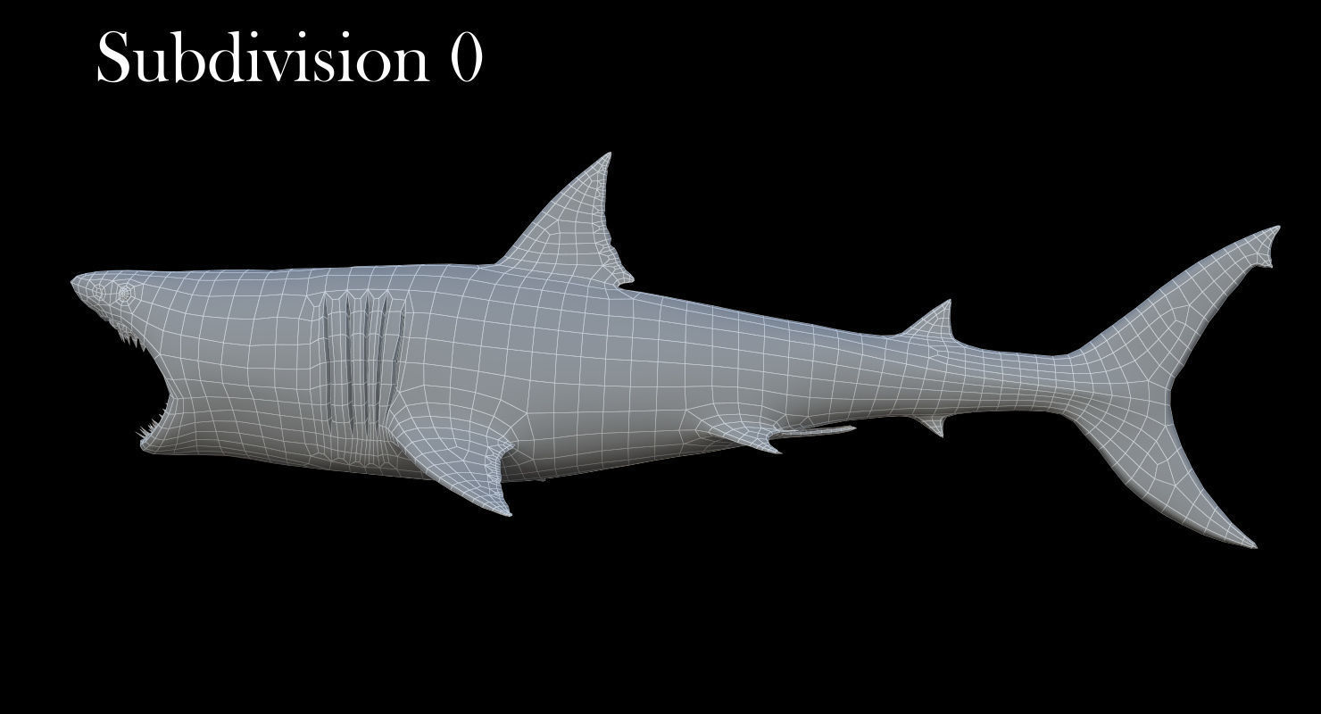 3D model Rigged Great White Shark Low-poly 3D model_17