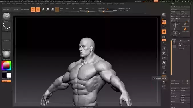 buff male white 3D model