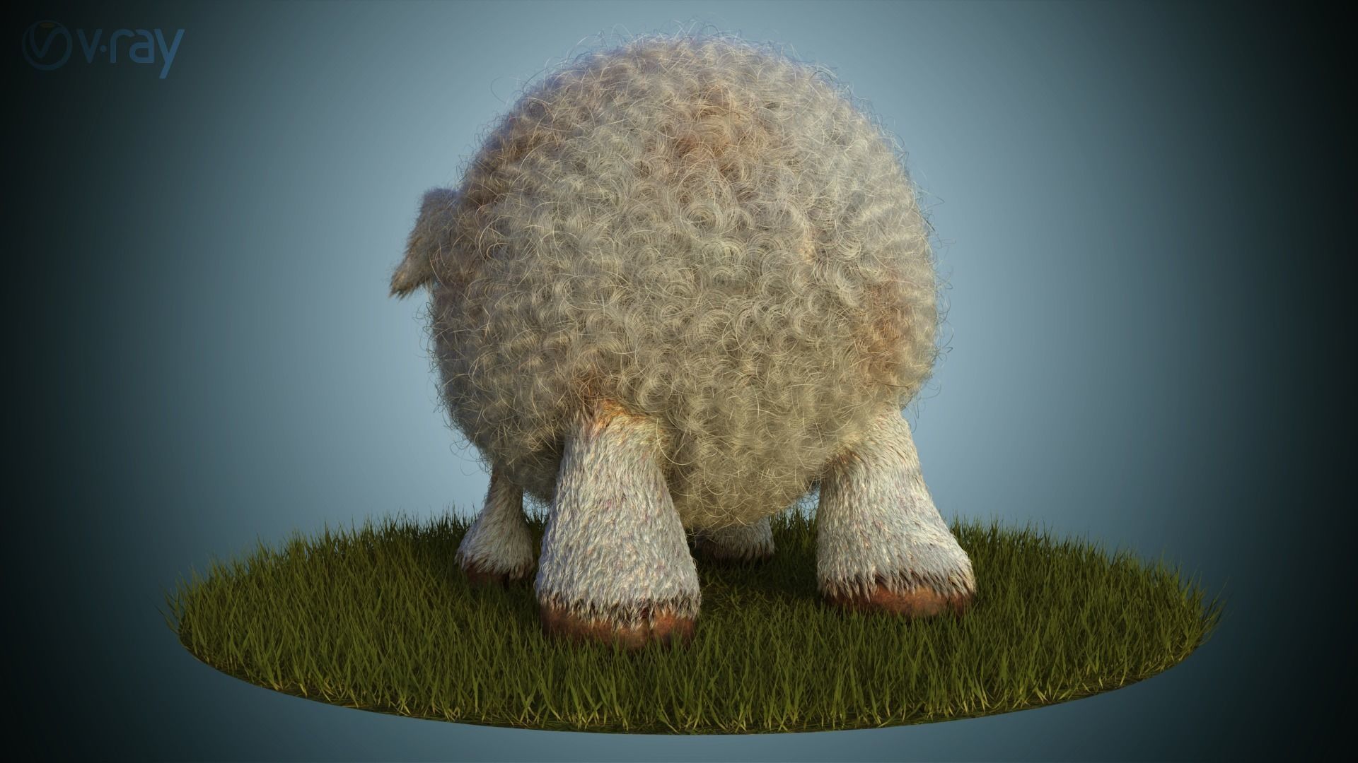 Sheep Dog for production render in Vray 3D model_3