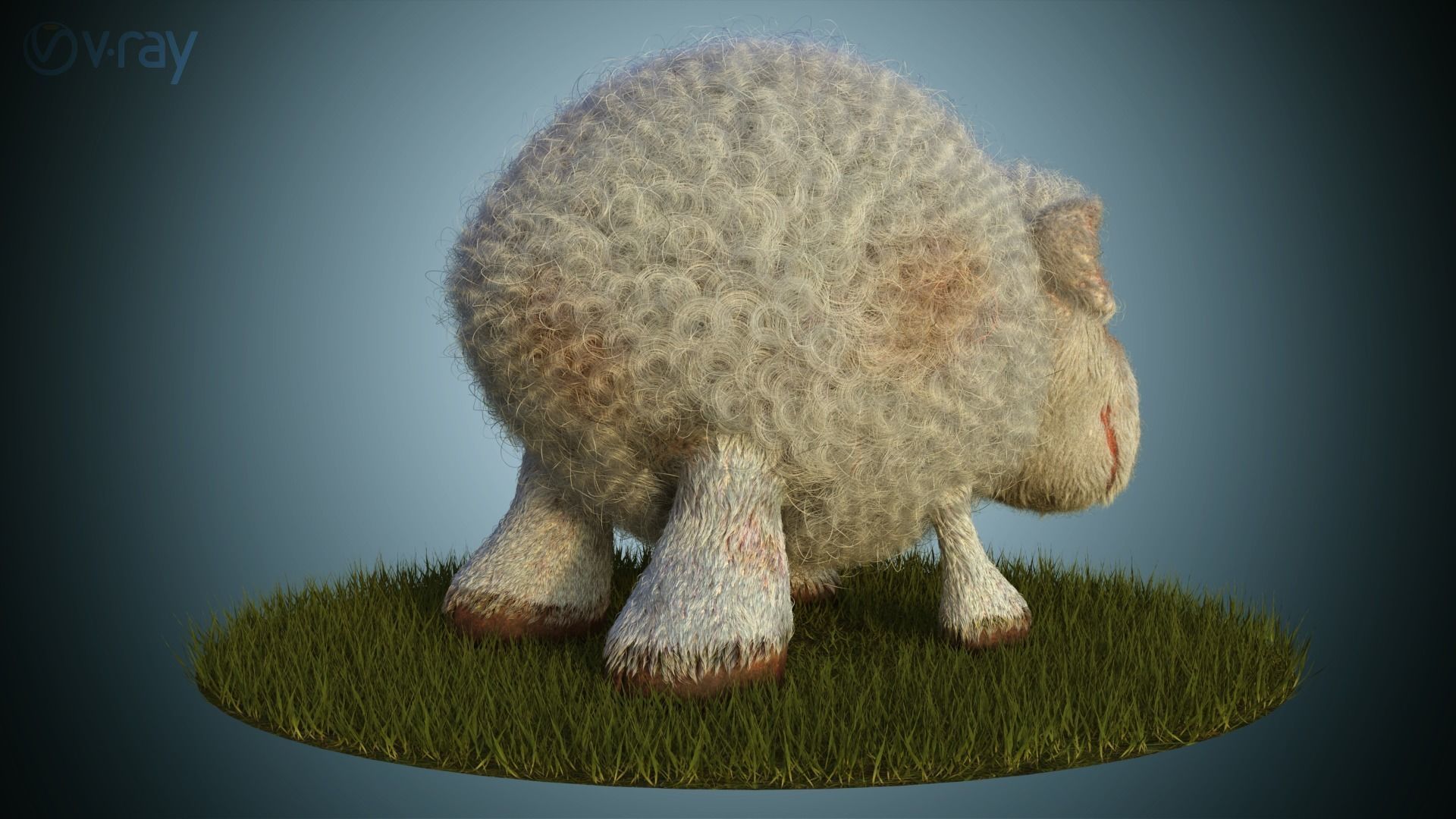 Sheep Dog for production render in Vray 3D model_2