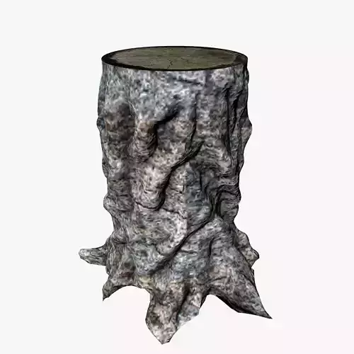 Tree Stump