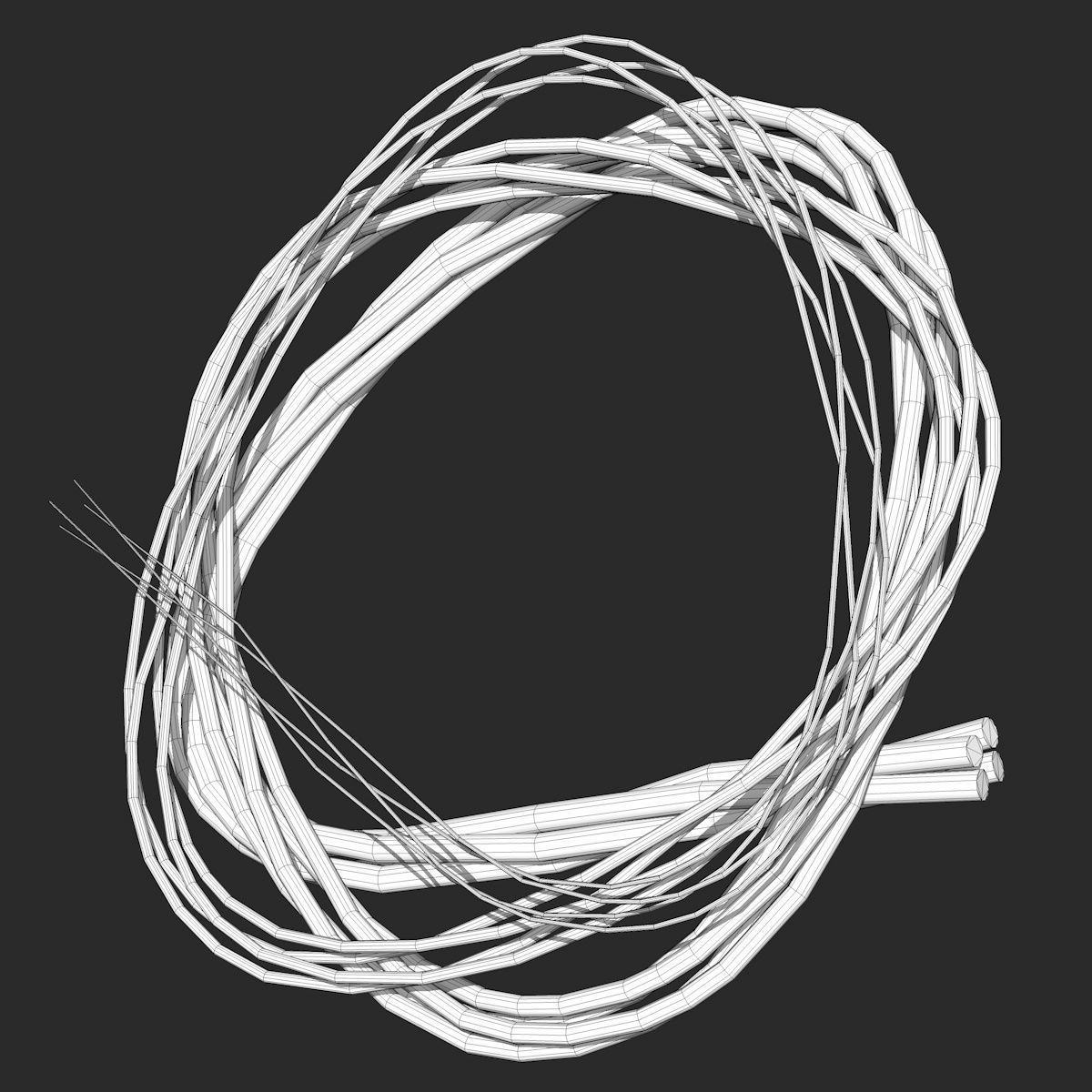 4 Different Rope Models  3D model_7