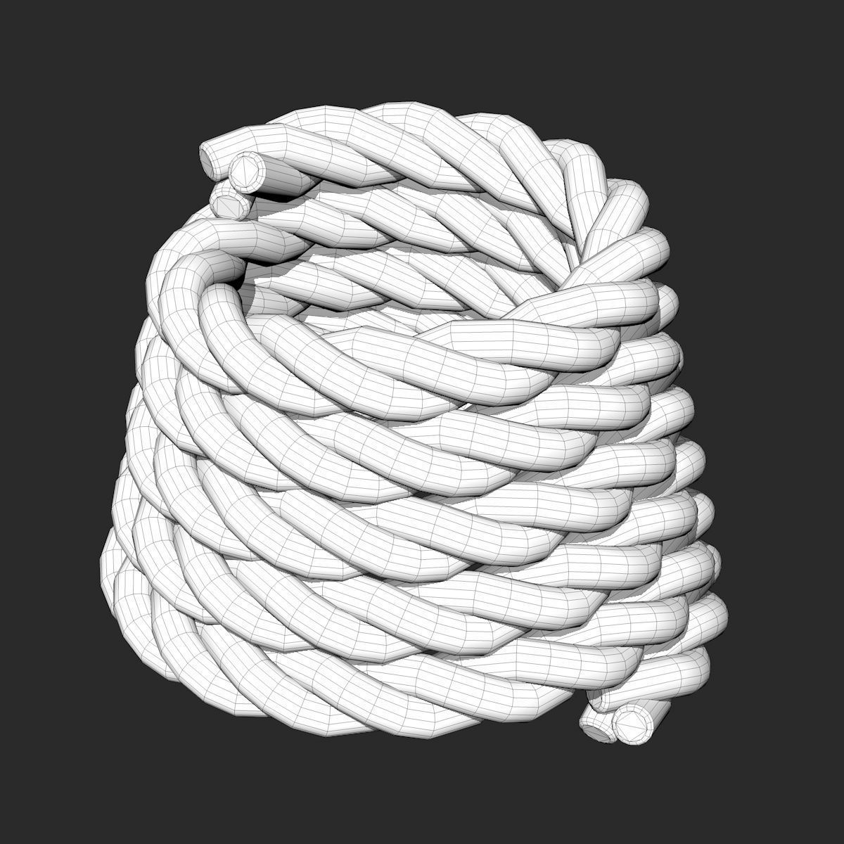 4 Different Rope Models  3D model_14