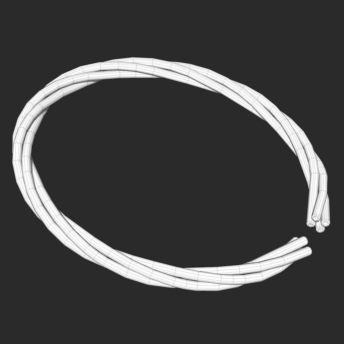 4 Different Rope Models  3D model_33