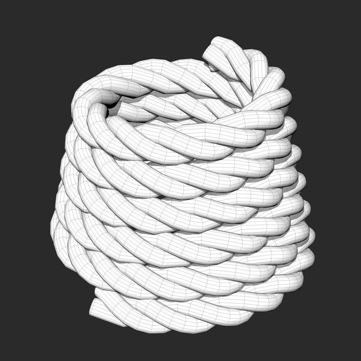 4 Different Rope Models  3D model_13
