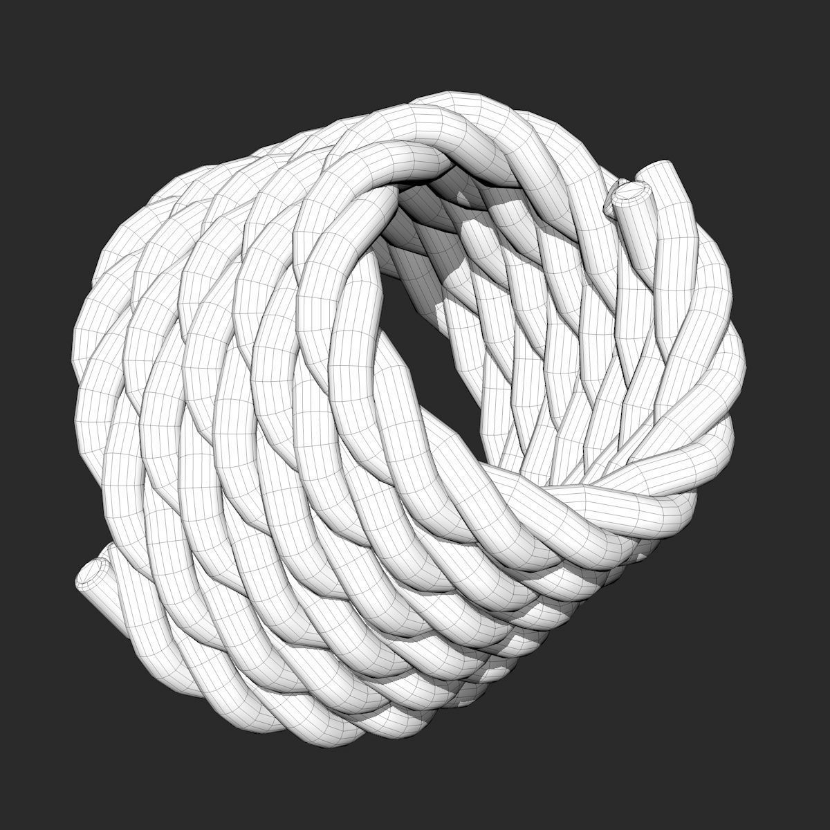 4 Different Rope Models  3D model_15