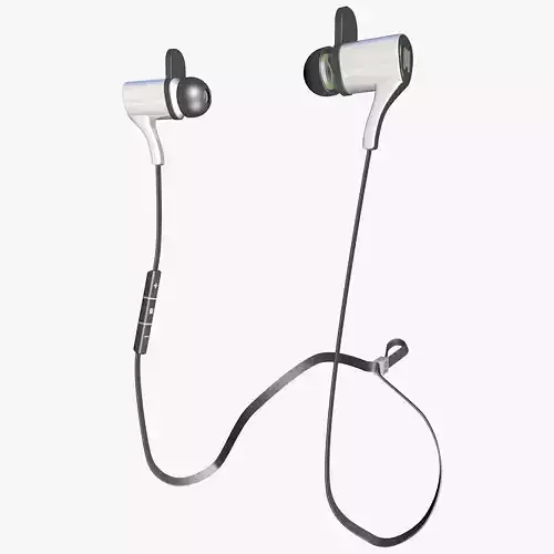 Black and White Earphones