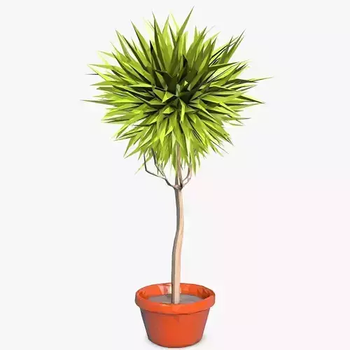 Cartoon Plant in a Pot Low-poly 3D model