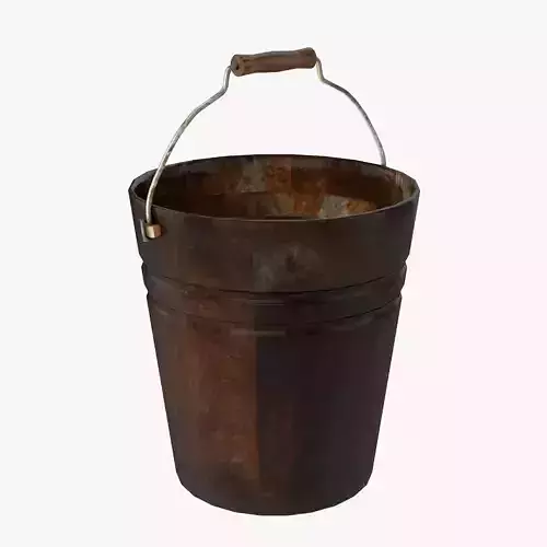 Old Rusty Bucket