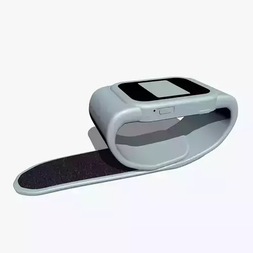 Electronic Wristwatch