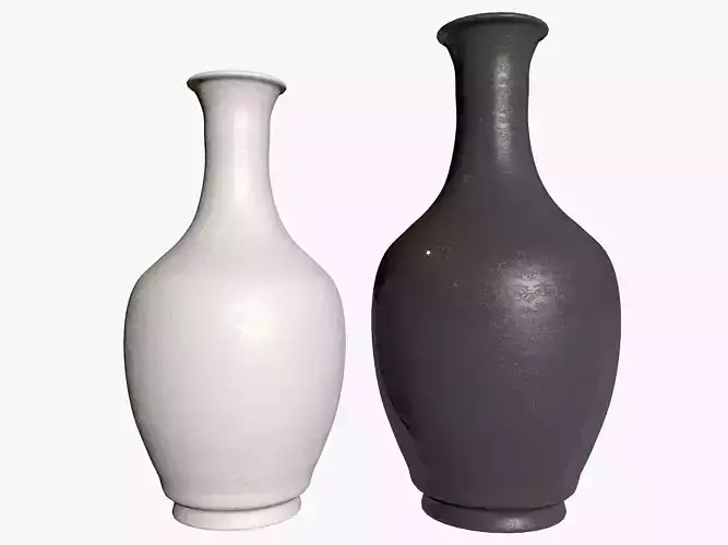 Two Black and White Vases