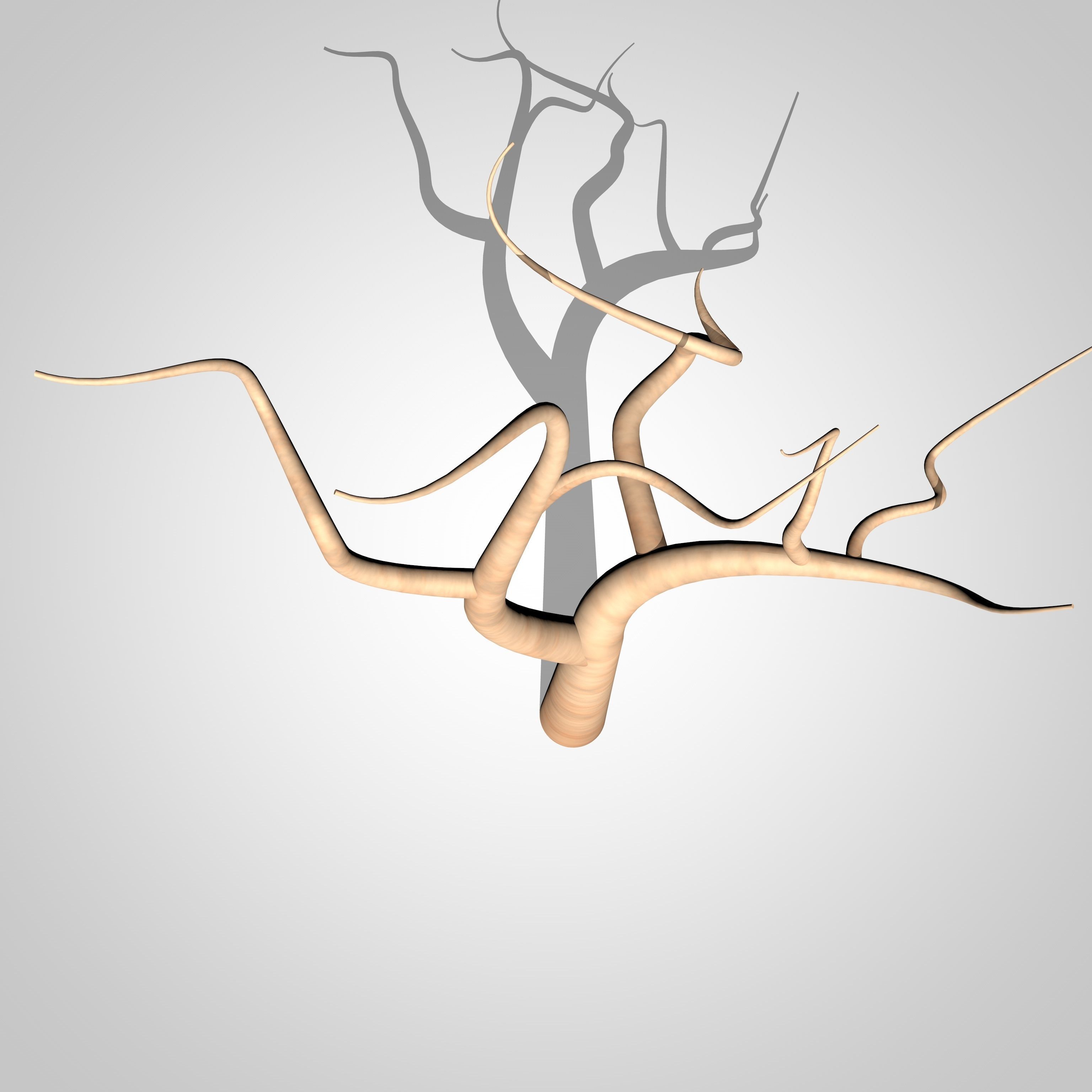 Cartoon Tree with no Leaves  3D model_5