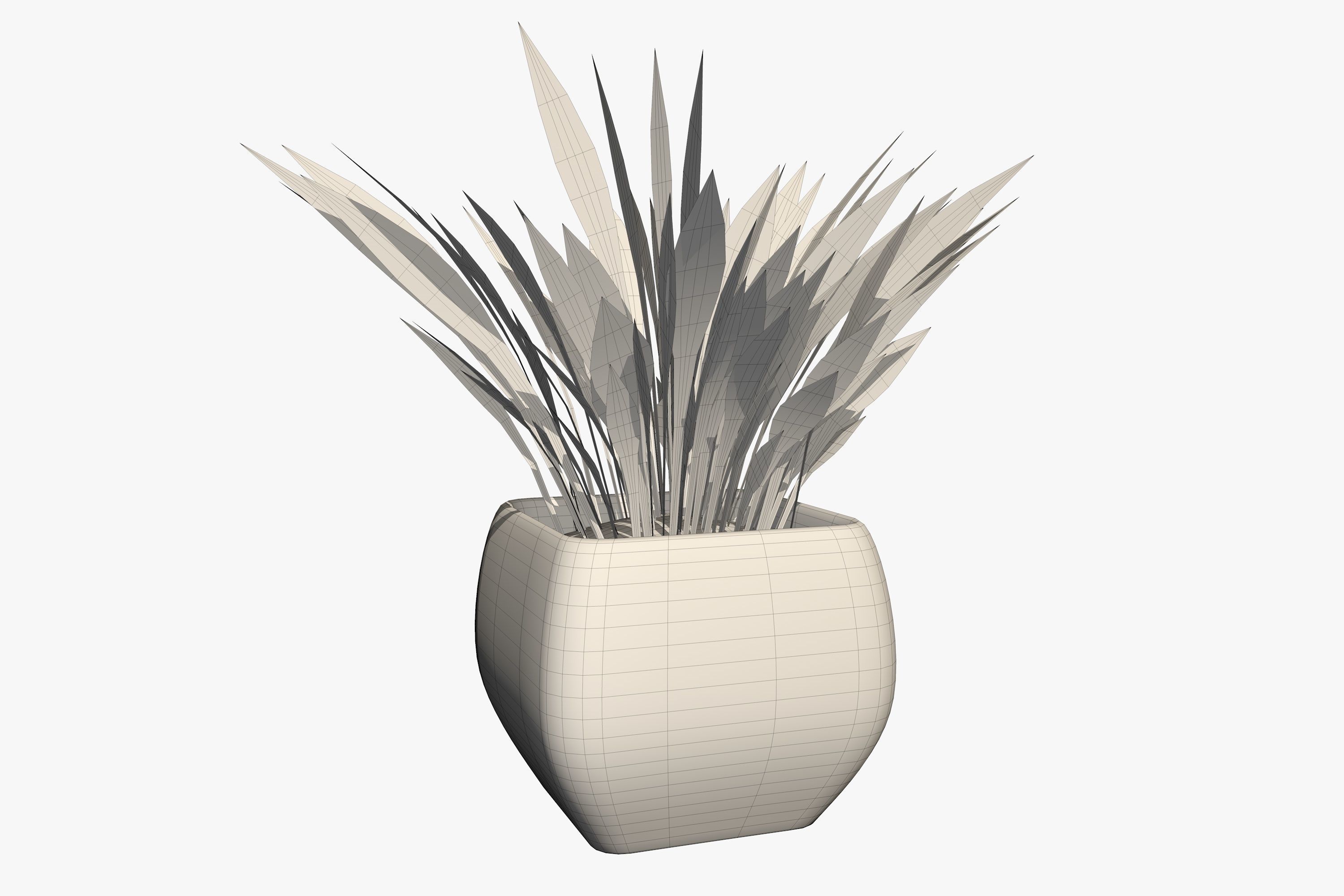 Plant in a Pot 3D model_5