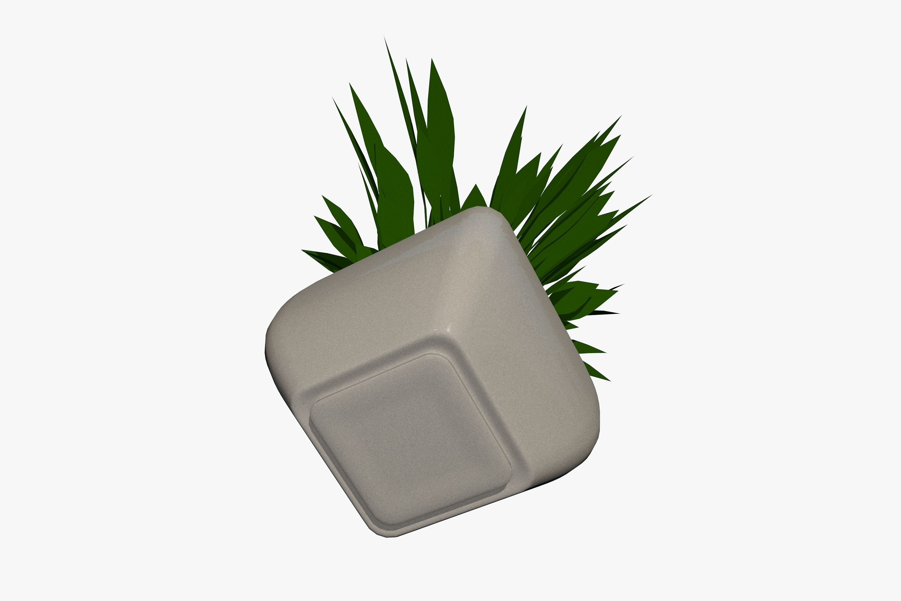 Plant in a Pot 3D model_4