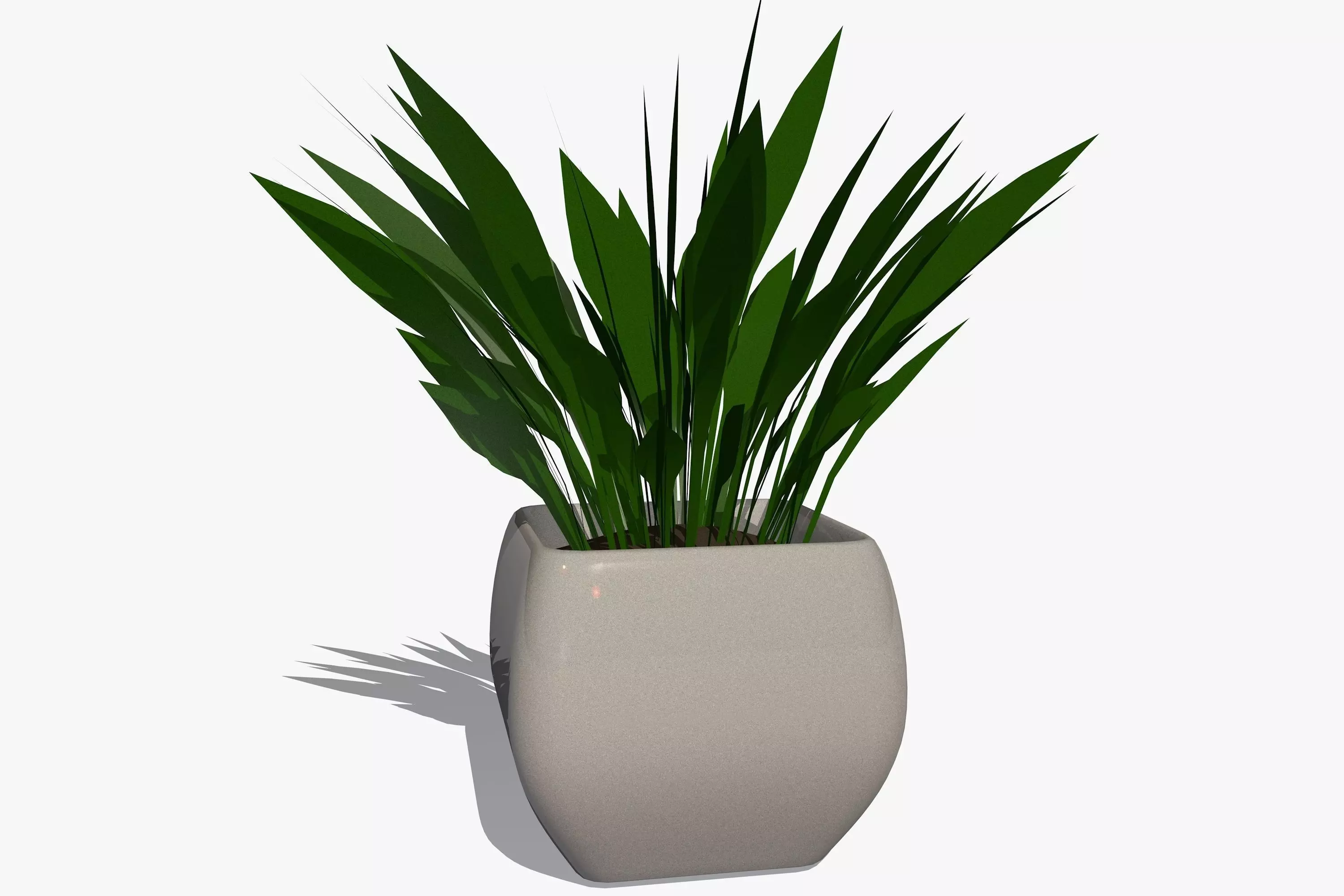 Plant in a Pot 3D model_0