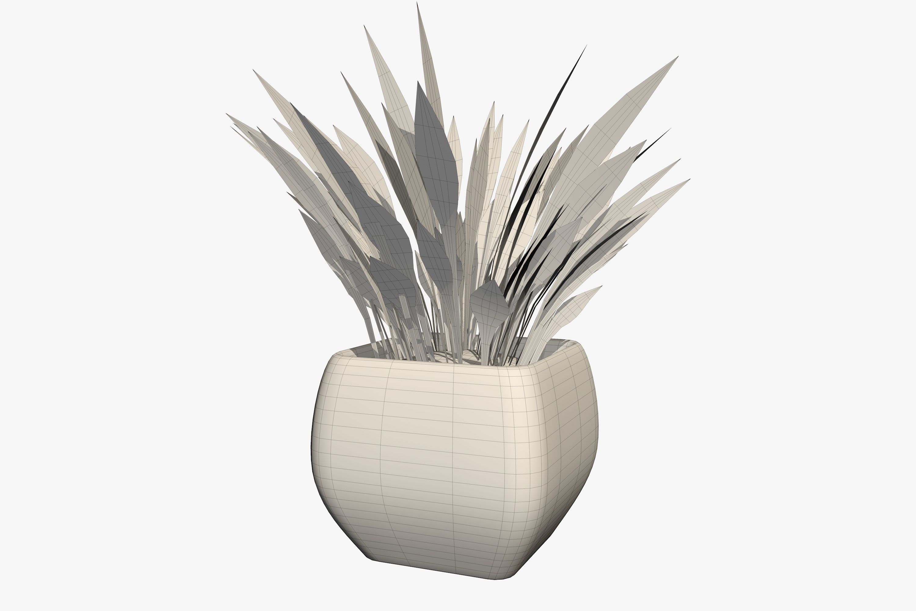 Plant in a Pot 3D model_7