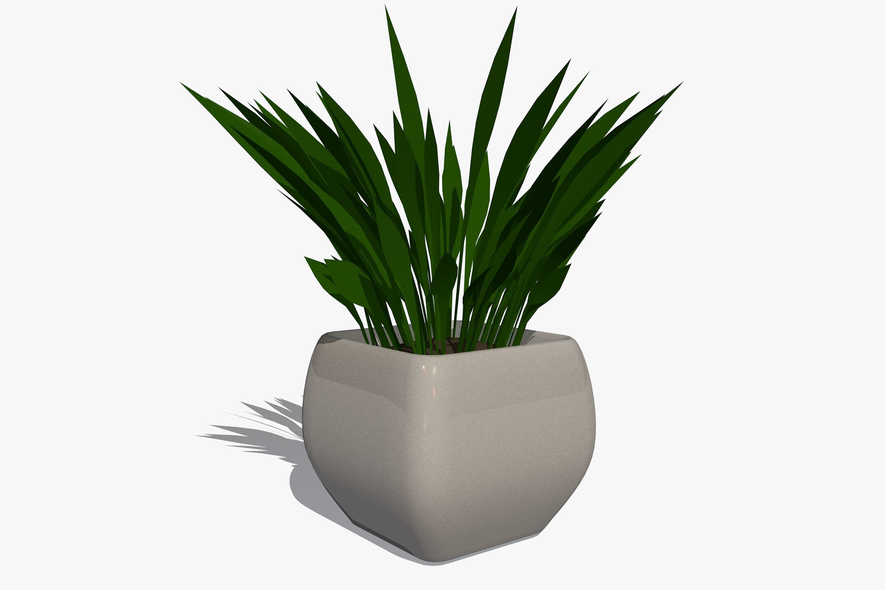 Plant in a Pot 3D model_2