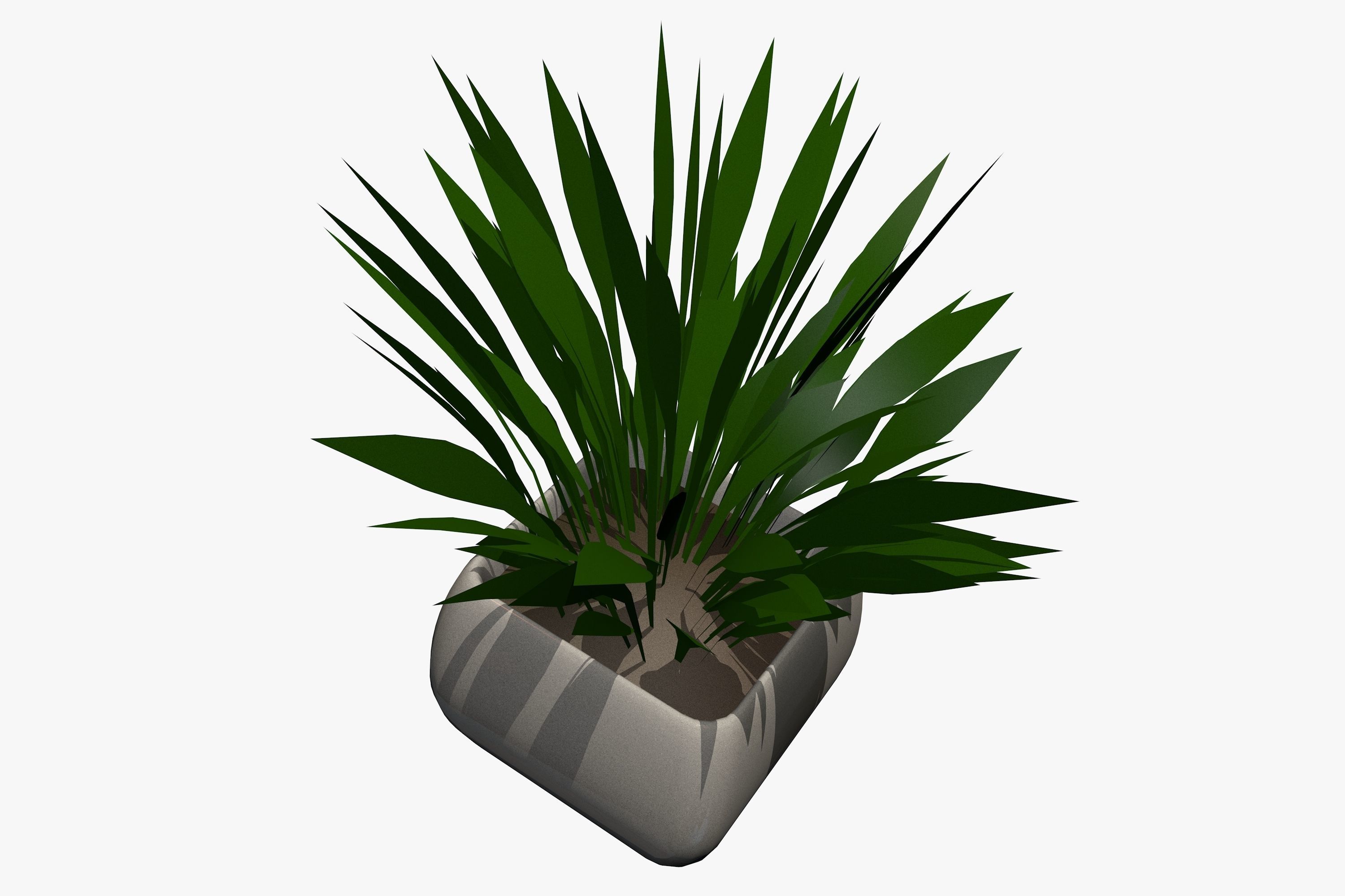Plant in a Pot 3D model_3