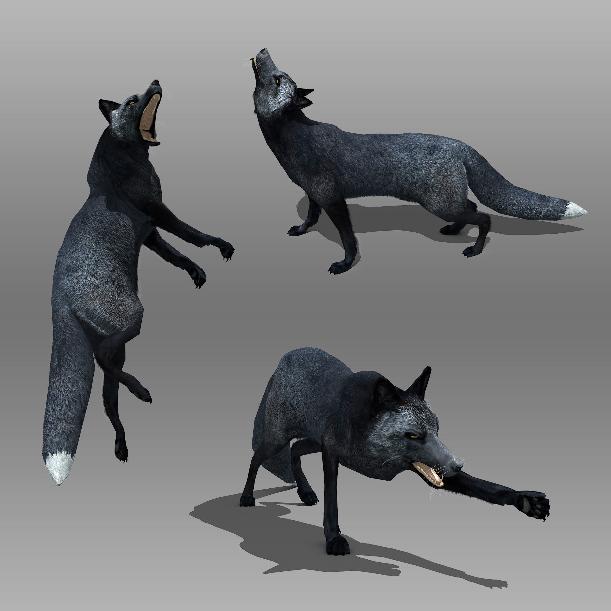 Red and Black Fox Low-poly 3D model_9