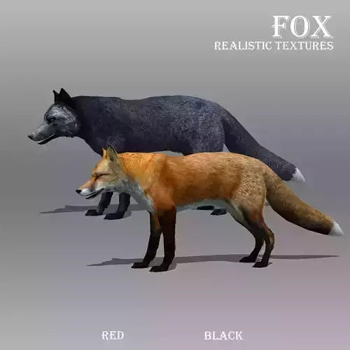 Red and Black Fox Low-poly 3D model