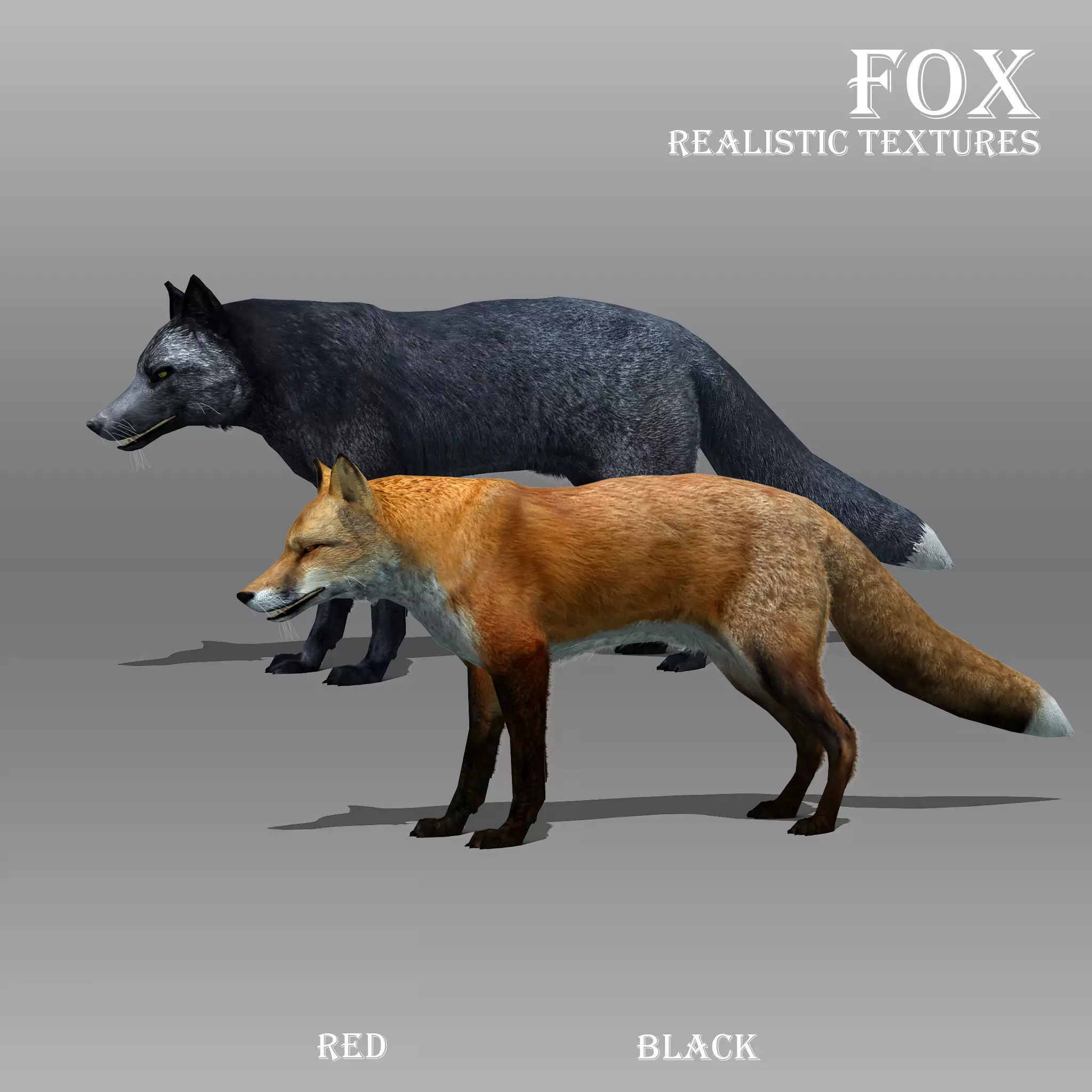 Red and Black Fox Low-poly 3D model_0