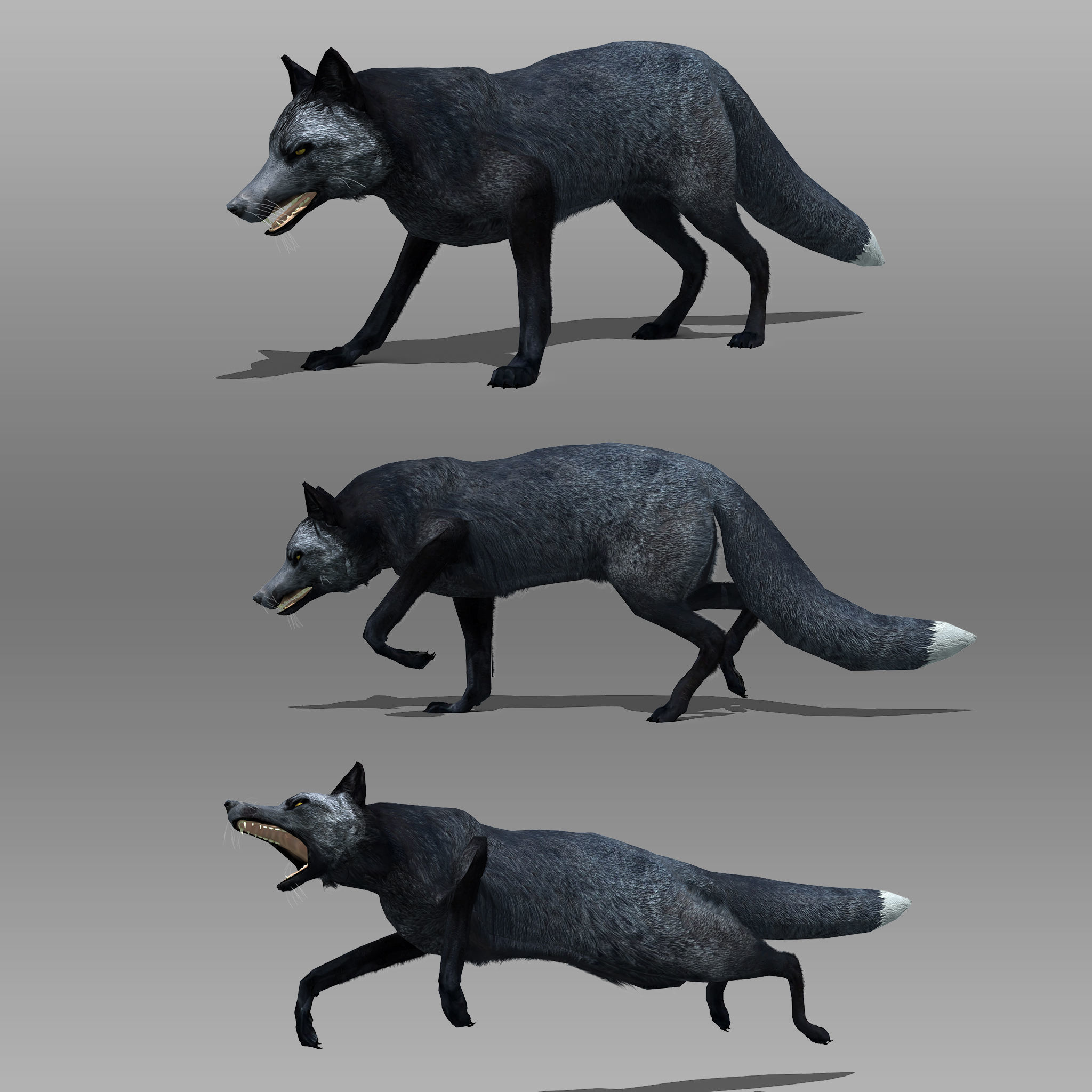 Red and Black Fox Low-poly 3D model_10
