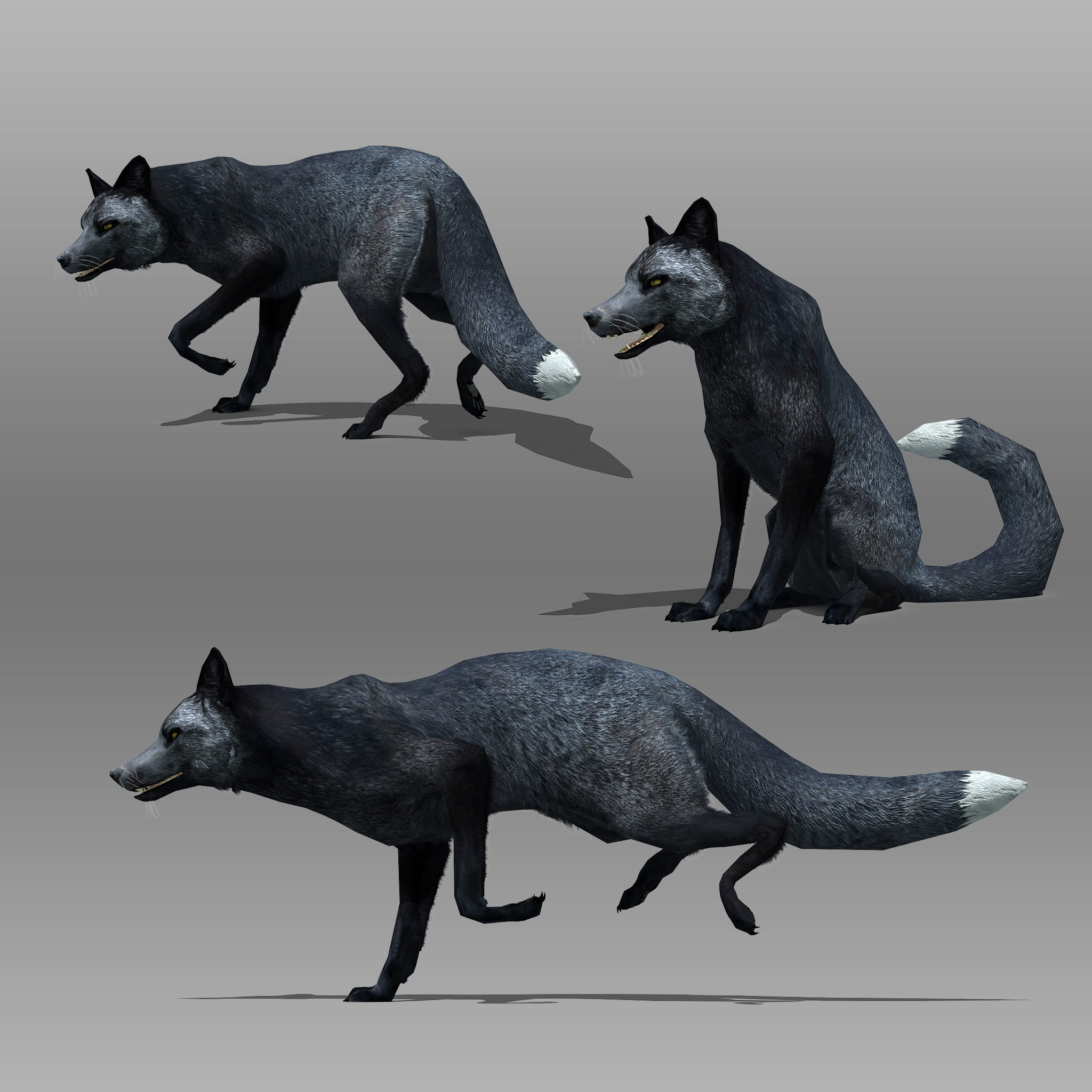 Red and Black Fox Low-poly 3D model_8