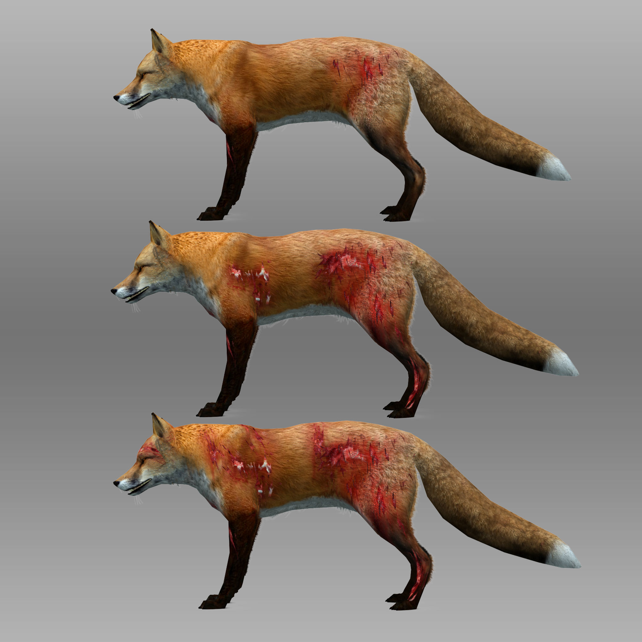 Red and Black Fox Low-poly 3D model_12