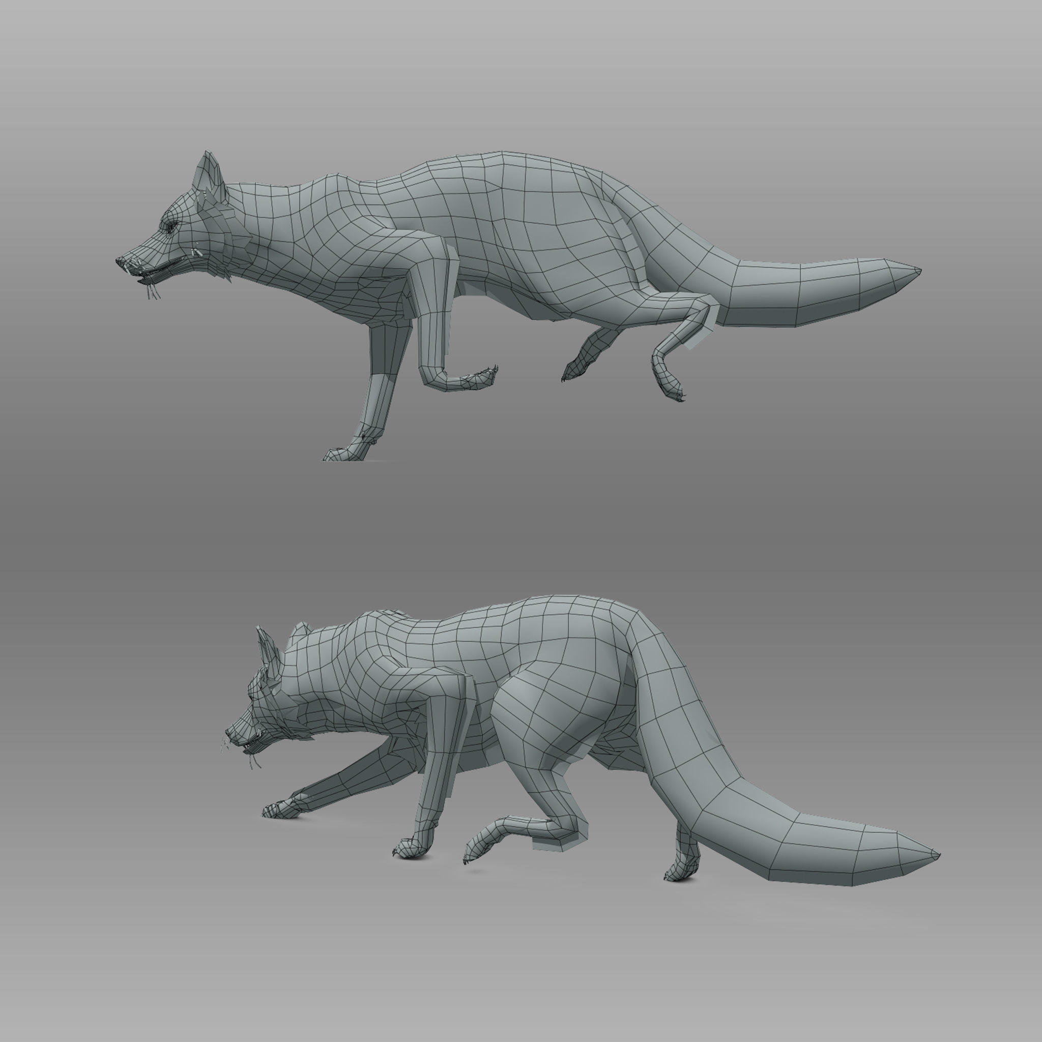 Red and Black Fox Low-poly 3D model_13