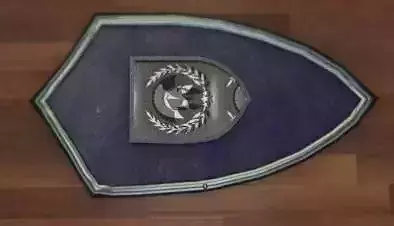 medieval shield 