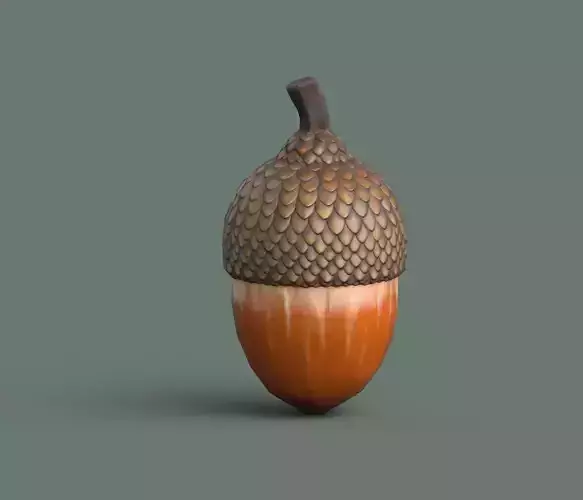 Acorn Low Poly