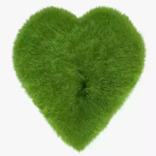 Green Heart rug 3D model