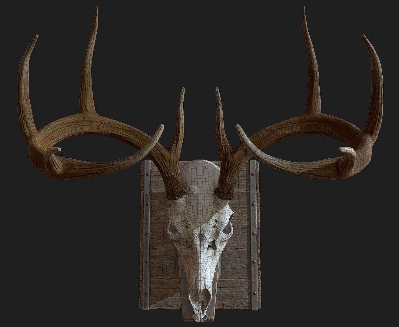 Deer Antler  Low-poly 3D model_10