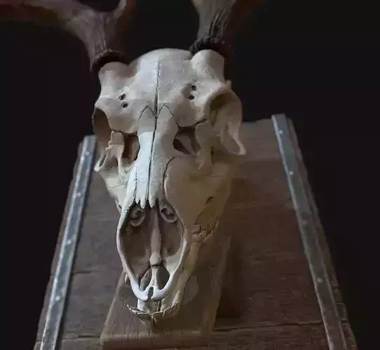 Deer Antler  Low-poly 3D model