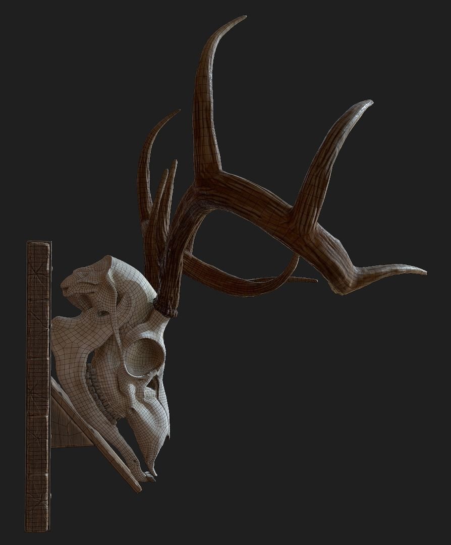 Deer Antler  Low-poly 3D model_11